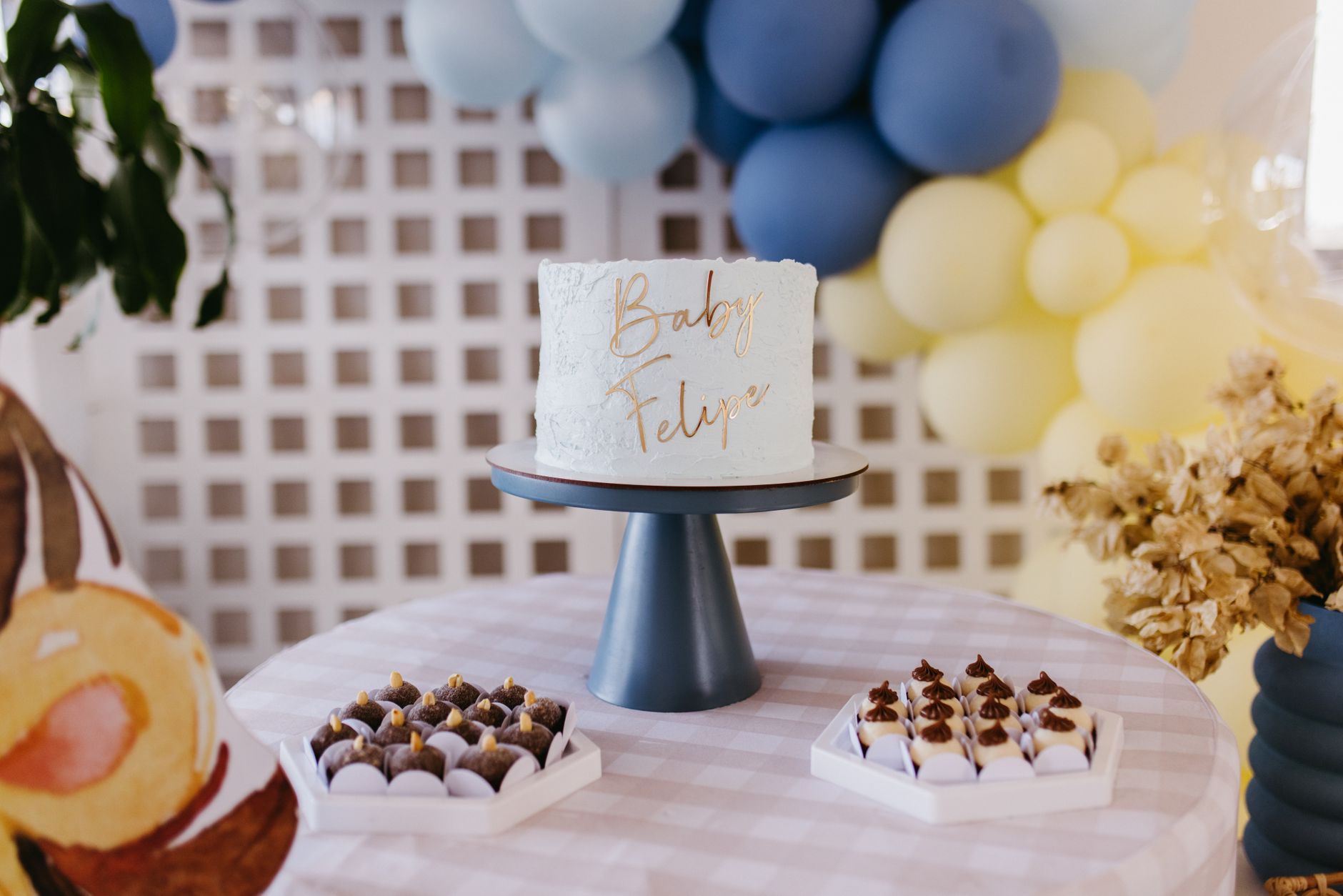 Elegant modern baby shower party decoration